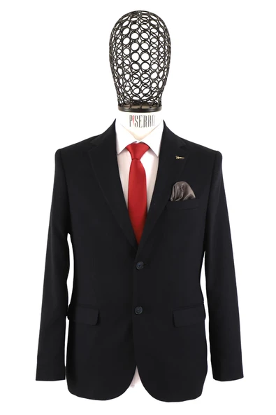 Slim Fit Erkek Tek Ceket - Resim 3