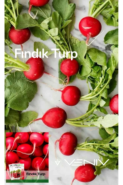 1000 Adet Fındık Turp Tohumu- Paket ürün görseli 1
