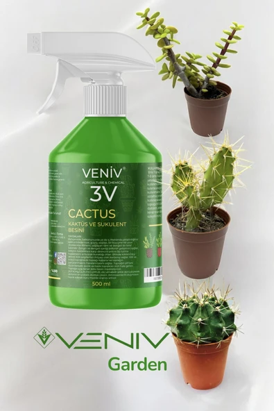 3V Cactus Sukulent ve Kaktüs Besini+ Para Çiçeği + Top Kaktus + Dikenli Kaktus ürün görseli 1