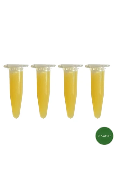 3v Keiki Orkide Çoğaltma Macunu (EN ETKİLİ)4 Adet X 1,5 Gr- Stokinin Büyüme Hormonu ürün görseli 1