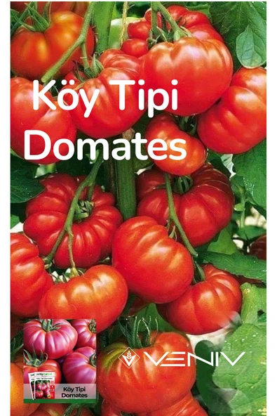 400 Adet Köy Tipi Domates Tohumu - 2 Paket ürün görseli 1