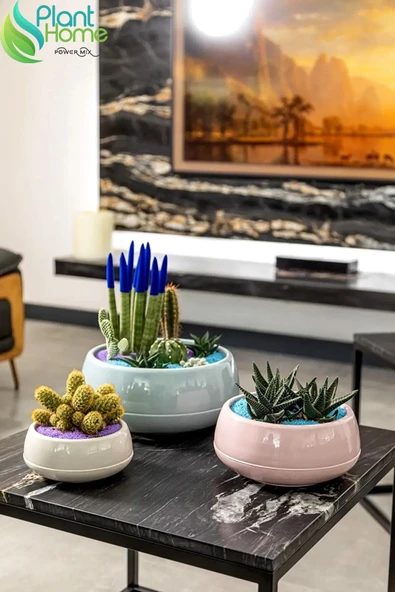 Elvan Aranjman Saksı 0,86 Litre Soft Pembe 17cm Menekşe Kaktüs Sukulent Saksısı Parlak Plastik ürün görseli 1
