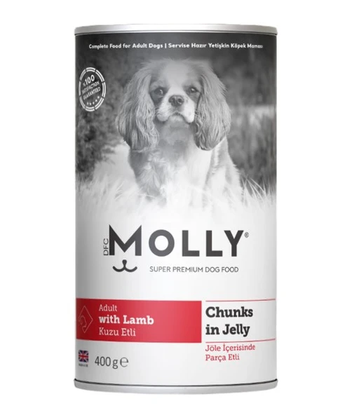 MOLLY ürün görseli 1