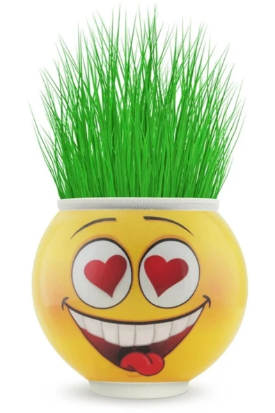 Emoji Figürlü Çim Adam Oyuncak Toprak Tohumlu Dekoratif Saksı Çocuk Eğitici Bitki 6 cm ürün görseli 1