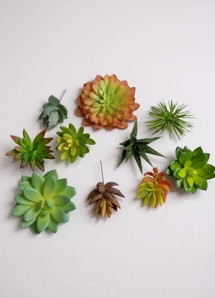 10lu Set Yapay Çiçek Kaktüs Sukulent Modelleri 10 Karışık Model Skulent 4202 ürün görseli 1