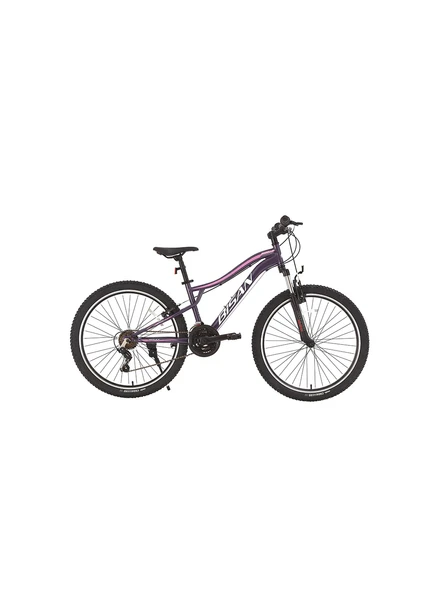 Bisan Gazelle 24 V Fren Shimano 18 Vites 24 Jant Dağ Bisikleti Mor Pembe 30 Kadro ürün görseli 1