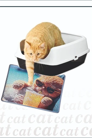 Kedi Kumu Paspası, Delikli Kedi Tuvaleti Paspası, Dijital Baskılı Kedi Paspası ürün görseli 1