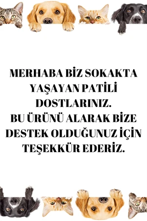 Evcil Hayvan Eğitim Topu 3 Lü Set - Resim 2