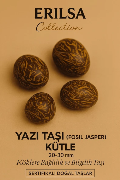 Sertifikalı Yazı Taşı (Fosil Jasper) Kütle 20–30 mm Köklenme Bilgelik ve Güç Enerjisi Taşı ürün görseli 1