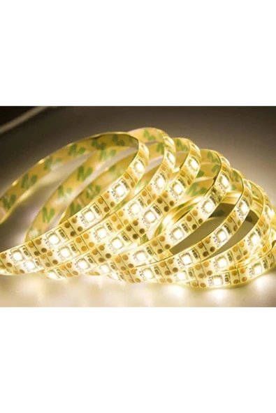 Dış Mekan Silikonlu Günışığı Şerit Led Ct-4488 ürün görseli 1