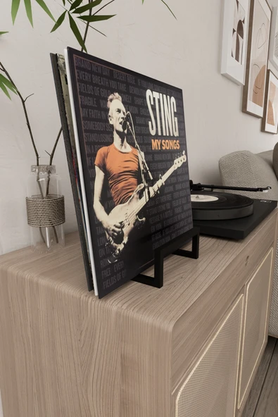 AJU Plak Standı LP Plak Tutucu Plaklık Plak Rafı Metal Modern Dekoratif Plak Kitap Fotoğraf Tutucu ürün görseli 1