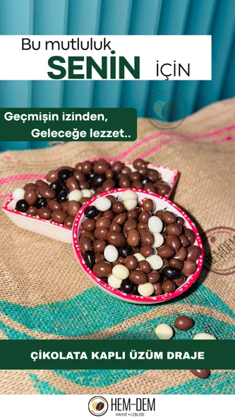 Hemdem Çikolata Kaplı Üzüm 250 gr ürün görseli 1