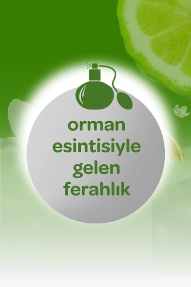 DALİN ORMAN ESİNTİSİ KOLONYA 150 ML - Resim 5