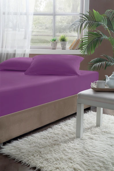 Pierre Cardin Pamuk Lastikli Çarşaf 120x200 Mürdüm ürün görseli 1