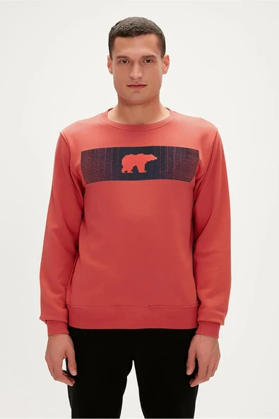 Bad Bear 19.02.12.007-C109 Fancy Erkek Sweatshirt ürün görseli 1