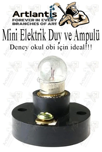 Mini Duy ve Mini Ampul 1 Adet Elektrik Deney Duyu ve Ampulü 2.5 V Amup Yuvası Devre Proje Etkinlik Okul Sınıf ürün görseli 1