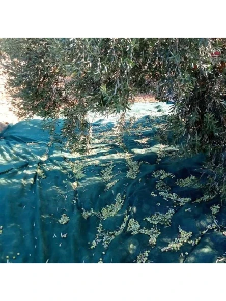 Titanium Zeytin Toplama Filesi 75'Lik 6*8 Metre Gölgelik File - Yeşil - Sergenlik - Zeytin Sergisi - Zeytin Yaygısı ürün görseli 1