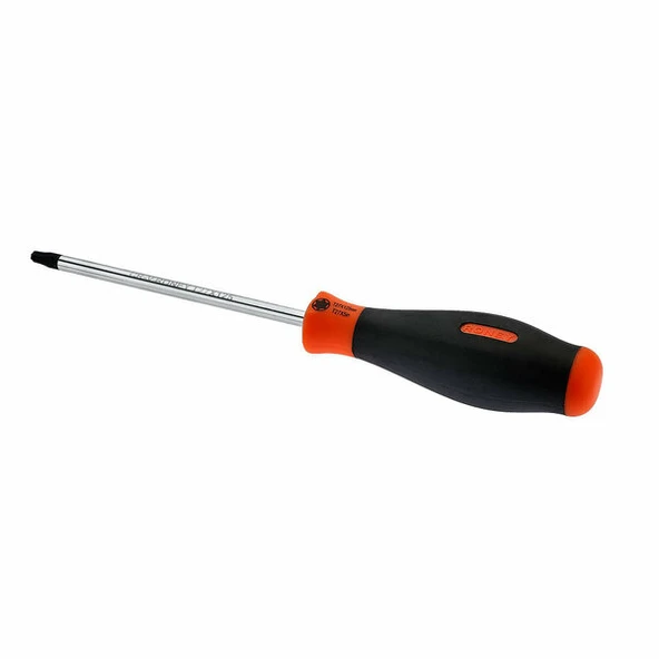 RONEY RO73425100 Tornavida Torx T25X100 ürün görseli 1