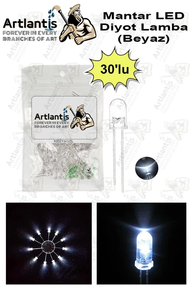 Beyaz Mantar Led Diyot Lamba 30 lu 1 Paket Beyaz 4.8 mm Mini Mantar Led Lamba Deney Bilim Proje Arduino Işığı ürün görseli 1