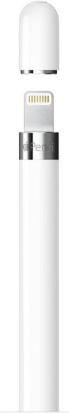 Apple Pencil (1. nesil) Teşhir - Resim 2