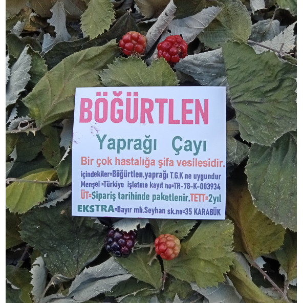Böğürtlen Yaprağı Bitki Çayı 30 G - Resim 3