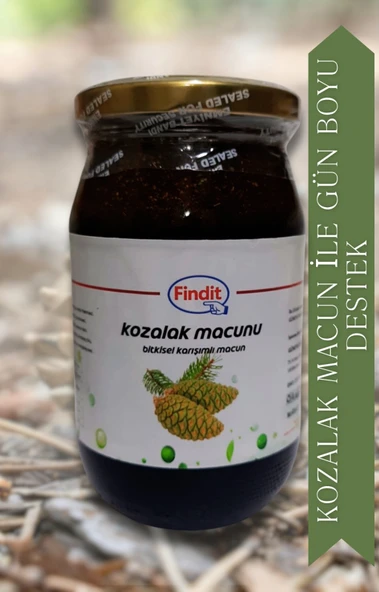 Kozalak Bitkisel Karışımlı Macun Doğal Güç ve Direnç Desteği ürün görseli 1