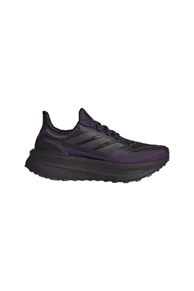 adidas Kadın  Mor  Koşu Ayakkabısı ULTRABOOST 5 GTX W JQ2955 ürün görseli 1
