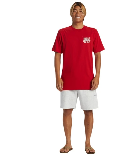 Quiksilver AQYZT09540 Hurricane Or Hippie Moe Erkek Tişört ürün görseli 1
