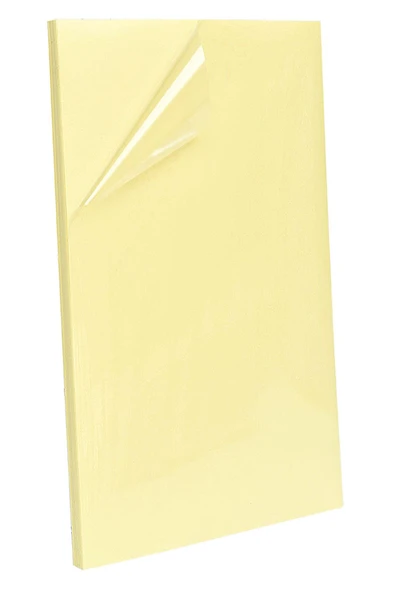 10 Adet Büyük Plaka 23x50 cm Çift Taraflı Yapışkanlı Bant ürün görseli 1