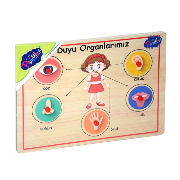 166/167 Onyıl, Ahşap Tutmalı Organlar ürün görseli 1
