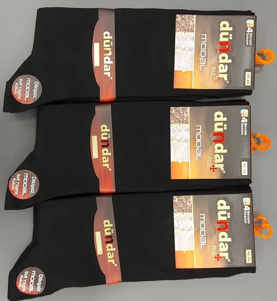DÜNDAR PLUS 4124 ERKEK MODAL LİKRALI DİKİŞSİZ ÇORAP 12 ADET ürün görseli 1