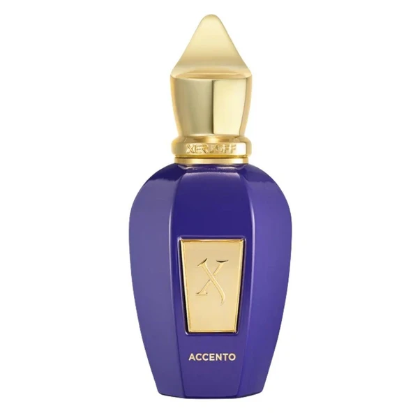 Xerjoff Accento EDP 100 ml Unisex Parfüm ürün görseli 1