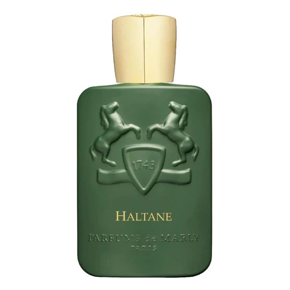 Parfums de Marly Haltane EDP 125 ml Erkek Parfümü ürün görseli 1
