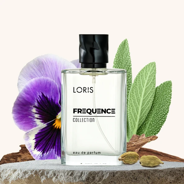 E-82 Frequence Erkek Parfüm EDP 50 ML ürün görseli 1