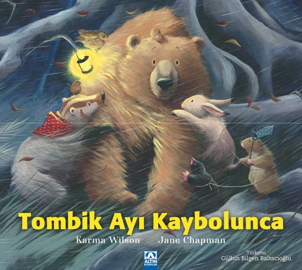 Tombik Ayı Kaybolunca ürün görseli 1