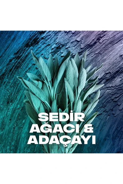 Axe Apollo Erkek Sprey Deodorant 150 Ml (2 Adet) - Resim 7