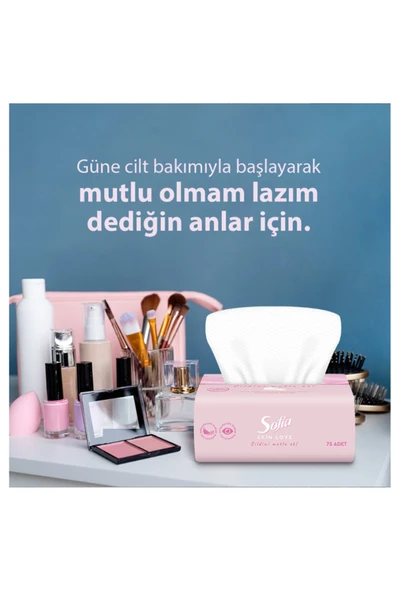 Sofia Skin Love Pudra Kokulu Mendil 100'lü 3 Paket ürün görseli 1