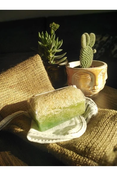 LALEZEN Kabak Lifli Aloe Vera Sabunu ürün görseli 1