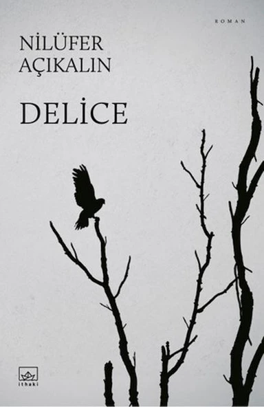 Delice ürün görseli 1