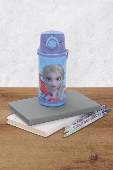 Frocx Frozen Çelik Matara Salto 500 ml Ice Cool ürün görseli 1