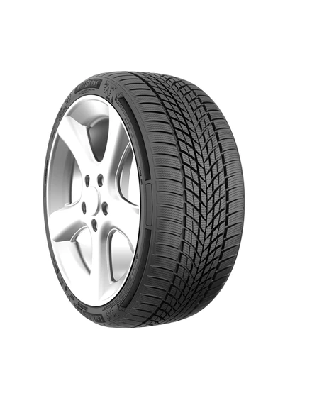 Milestone CarMile Winter 225/55 R17 101V Reinf. Kış Lastiği - 2025 ürün görseli 1
