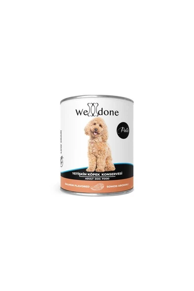 WELLDONE Somonlu Yetişkin Köpek Konservesi 400 Gr. ürün görseli 1