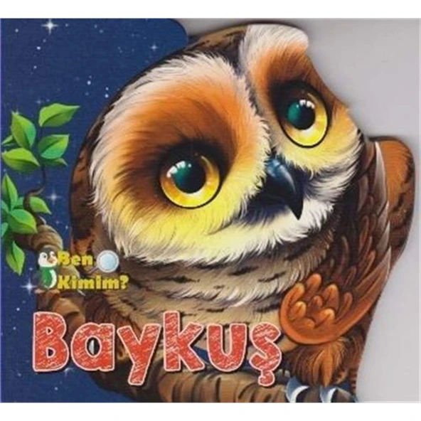 Ben Kimim-Baykuş : Ben Kimim Serisi ürün görseli 1