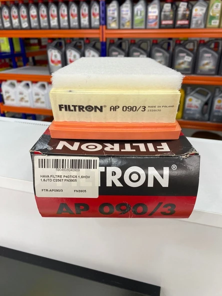 Filtron AP090/3 Hava Filtresi Citroen C5 1.6 C5 II 1.6 JUMPY II 1.6 PEUGEOT 407 1.6 HDI EXPERT II 1.4 1444.TK 13717806046 1444EQ 1444ER 1444ET 1444TK 9651883380 K9651883380 1444.ER 1444-ES 1444.EQ ürün görseli 1
