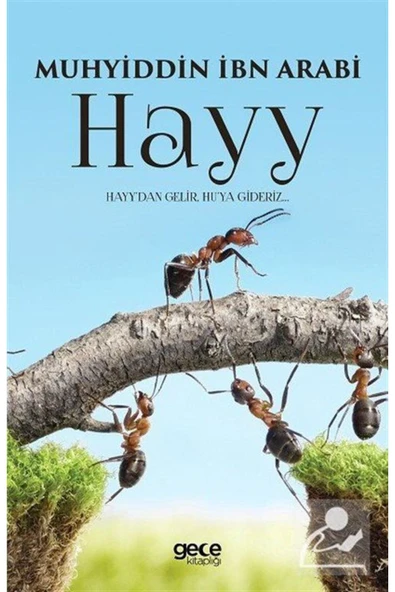 Gece Kitaplığı Hayy ürün görseli 1