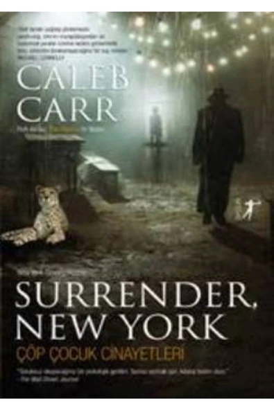 ARTEMİS Çöp Çocuk Cinayetleri - Surrender, New York ürün görseli 1
