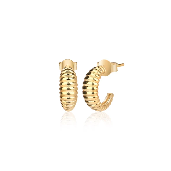 EMILIANO JEWELLERY 925 AYAR DESENLİ KÜPE ürün görseli 1