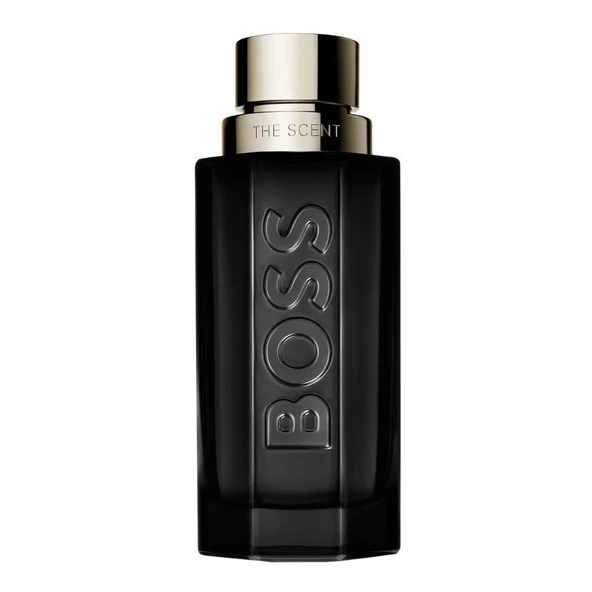 Hugo Boss The Scent Magnetic EDP 100 ml Erkek Parfümü ürün görseli 1