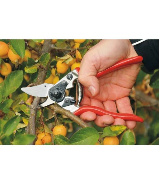 Felco 6 Budama Makası By-pas Sağ El - Resim 2