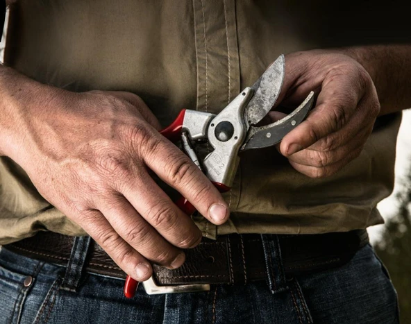 Felco 2 Budama Makası By-pas Sağ El - Resim 4